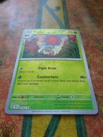POKEMON  Rabsca    H SSP EN   014/191   HP70  2024