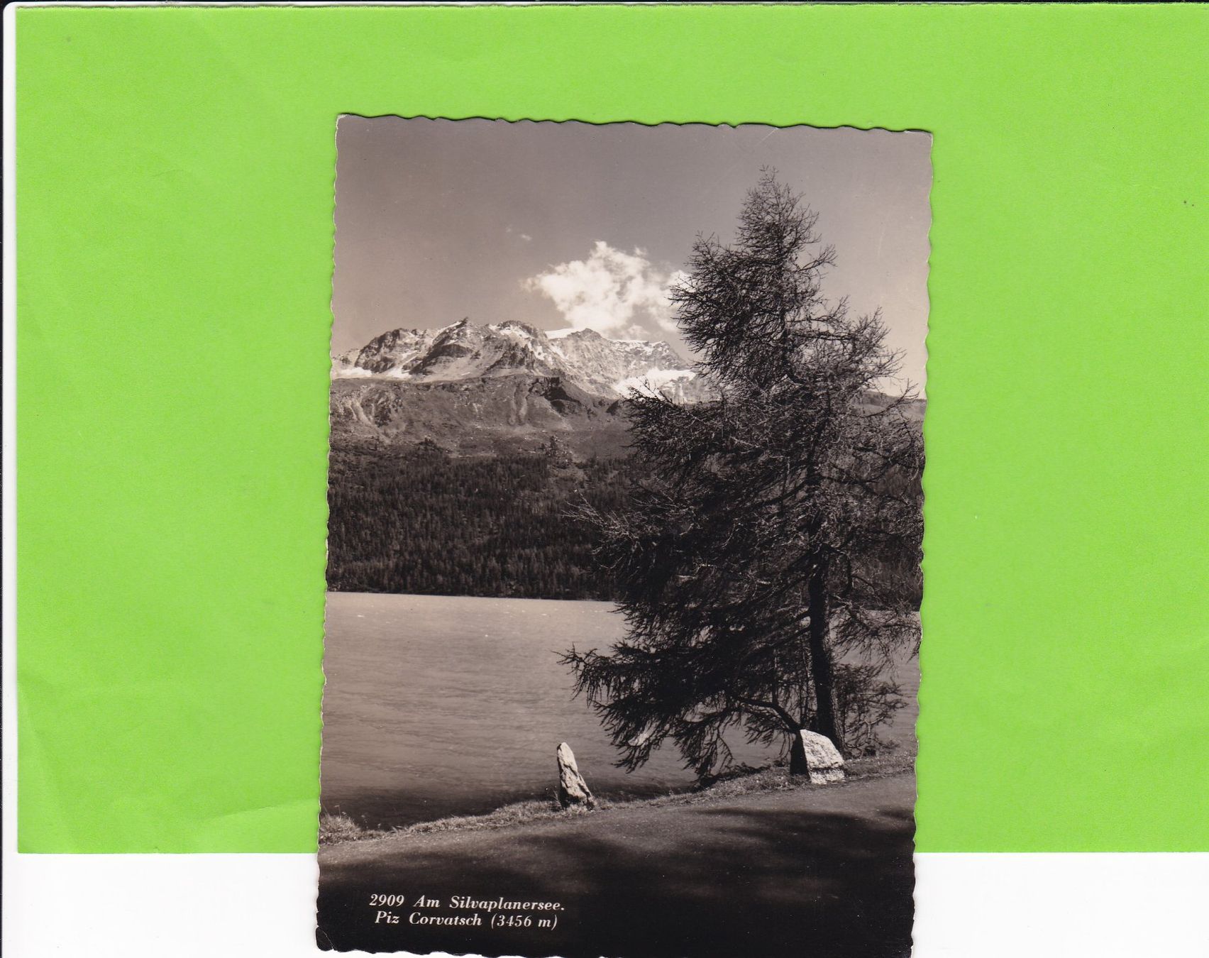Cartoline postali: Am Silvaplanersee – Usato da St. Peterzell venduto da neckertal