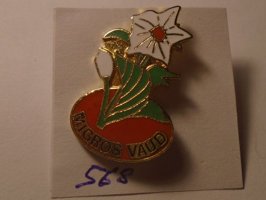 Placchette & Badge: 1 Migros VAUD Pin (568) – Usato da Winterthur venduto da Beli2000