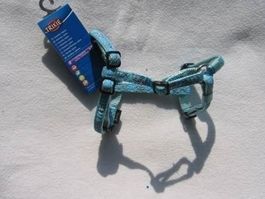 Geschirr Modern Art Sportdog hellblau XS
