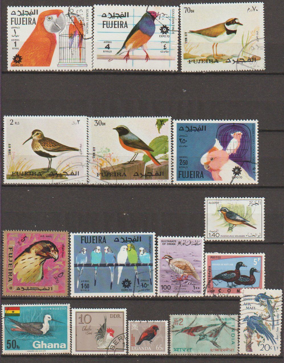 Tutti i francobolli: Oiseaux occasion – Usato da Crans-Montana venduto da kira56