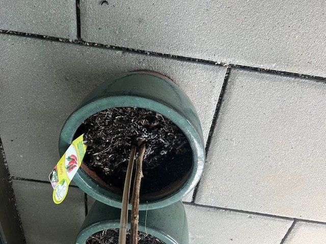 Vasi per fiori: 5 Keramik-Blumentöpfe – guter Zustand – Usato da Niederweningen venduto da zw4_s78j 1