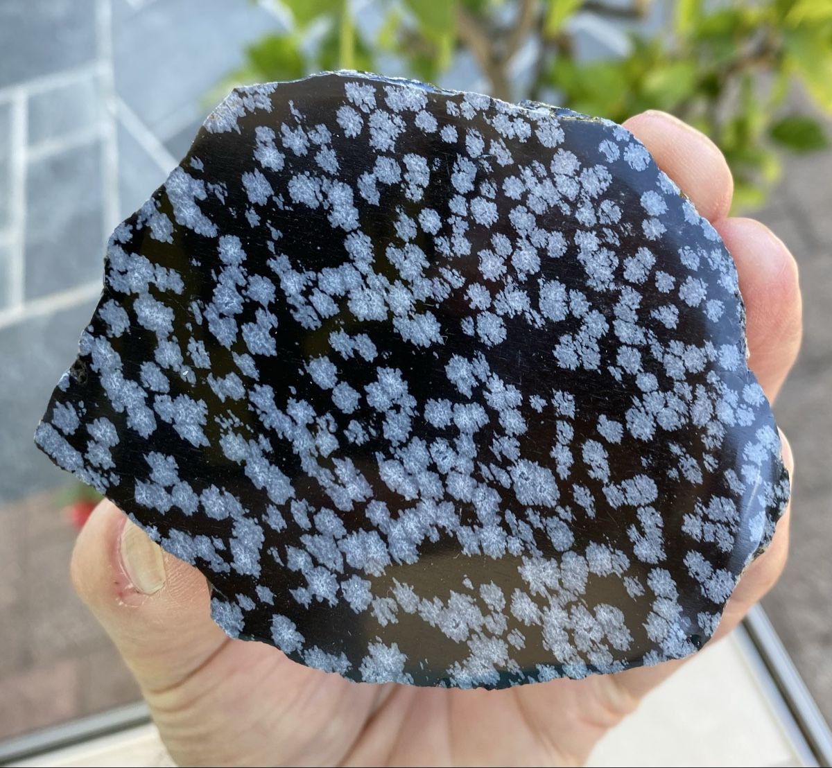 Minéraux & Lithothérapie: Schöne Schneeflockenobsidian Platte  – D'occasion à Selzach par 321compac 1