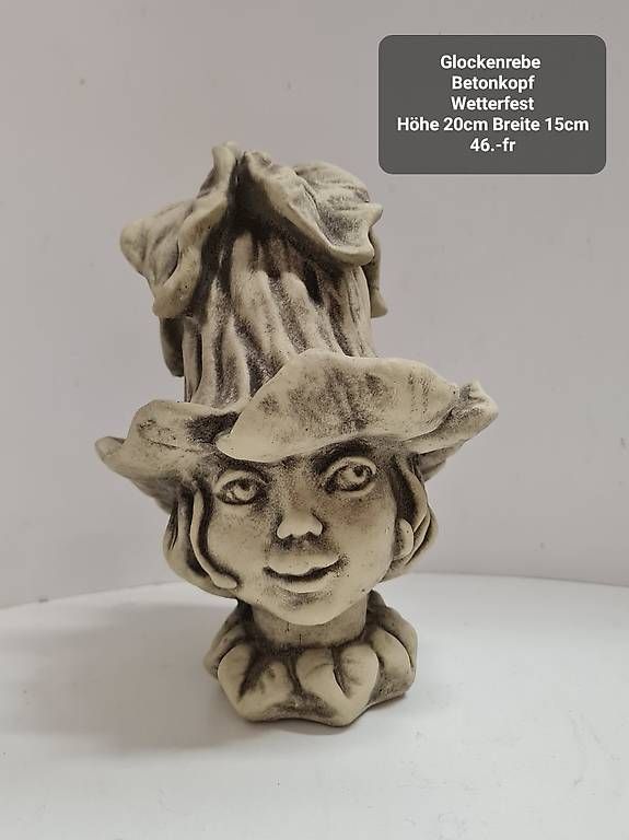 Sculture & Statue: Glockenrebe Betonkopf  – Usato da Kriens venduto da LotusOase 4