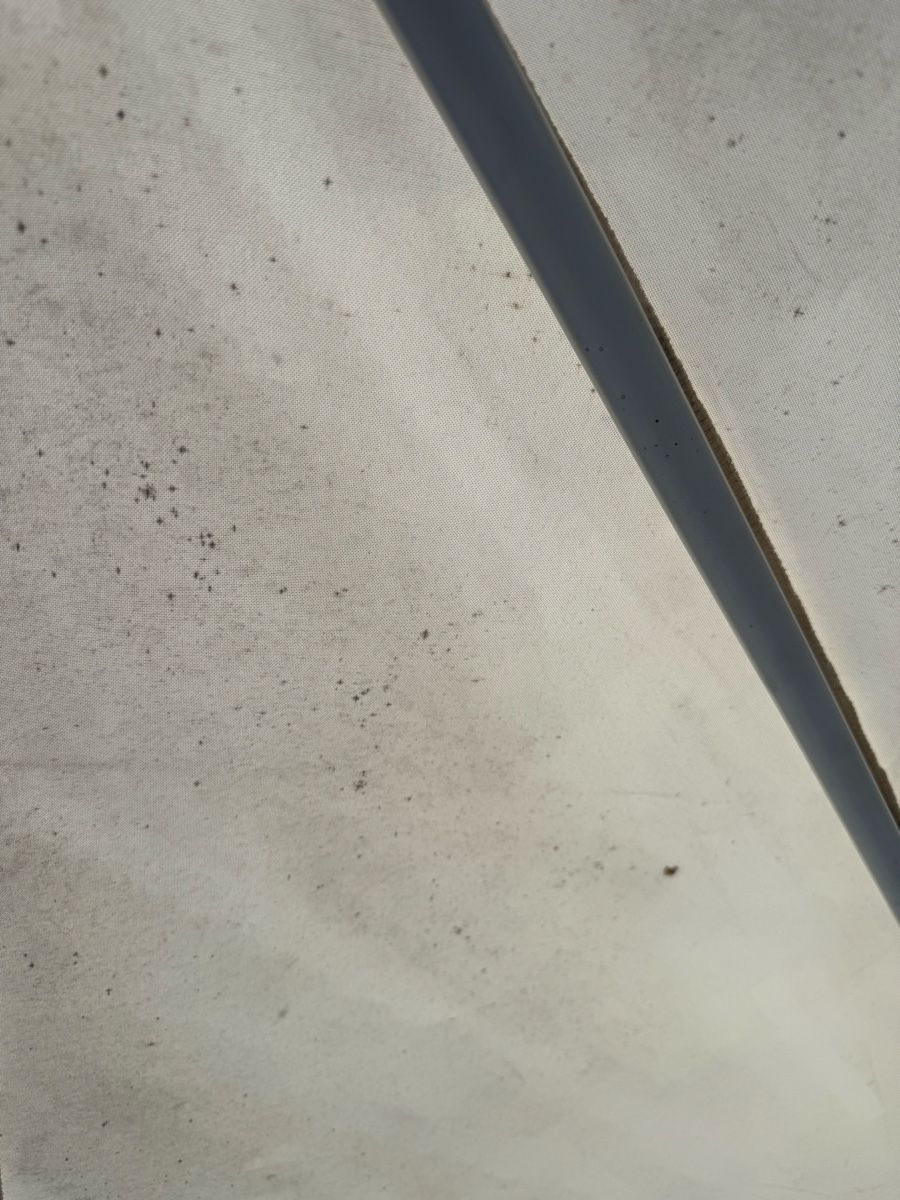 Glatz Ombrelloni: Sonnenschirm Glatz – Usato da Bussnang venduto da IfeAS4 3