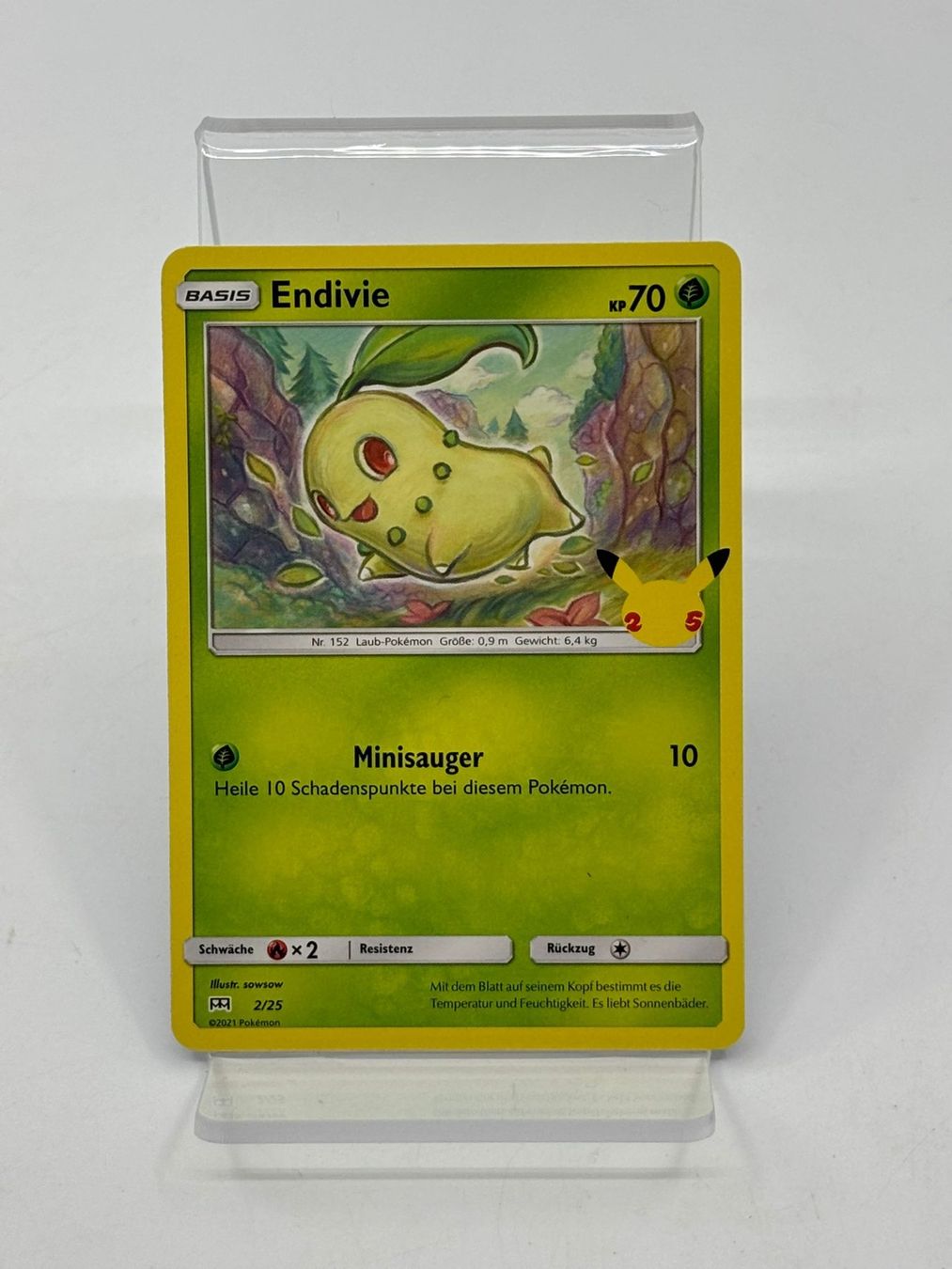 Pokémon Carte collezionabili: Pokemon Endivie 2/25 – Usato da Herisau venduto da Pokemon2026