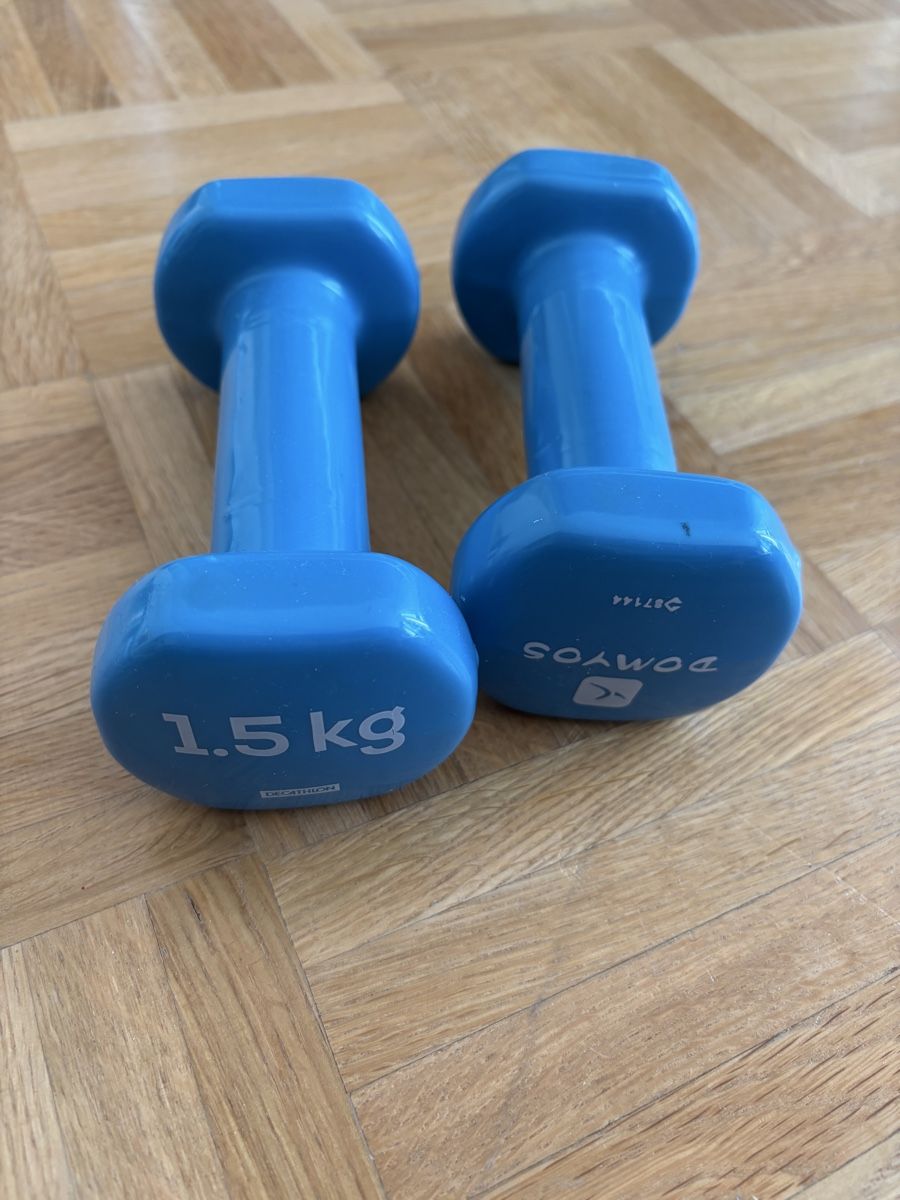 Decathlon Manubri & Pesi: Hanteln 1,5kg – Usato da Zürich venduto da olgiolgi