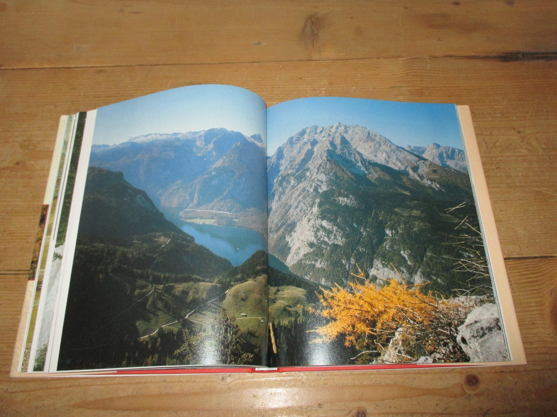 Bücher: Die Urzeit – Gebraucht aus Flims - Dorf von Stagediver 4