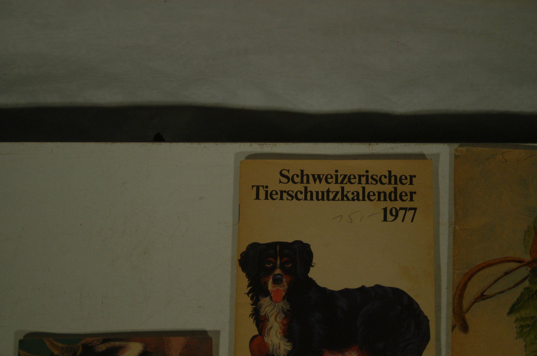 Calendari: Schweizerischer Tierschutzkalender 7 Stück – Usato da Herisau venduto da Wisen 1