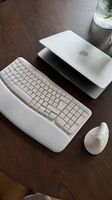 Logitech Wave Keys + Lift Combo white