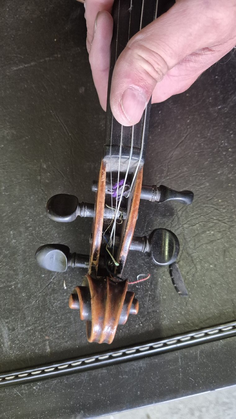 Strumenti musicali: Jacobus Stainer 4/4Geige – Usato da Rämismühle venduto da beni0010 5