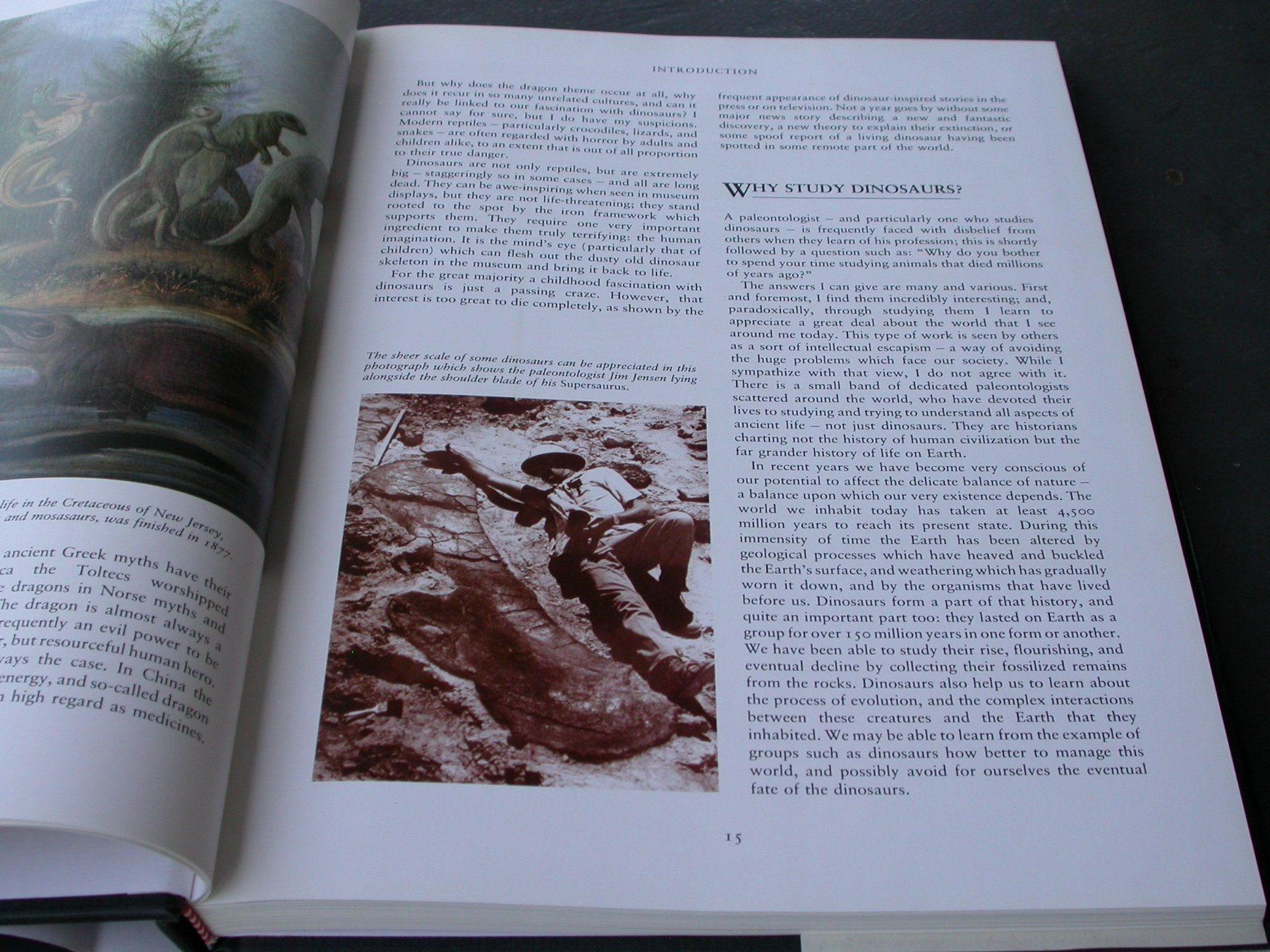 Libri: Dinosaur – Usato da Zürich venduto da Marcel6887 2