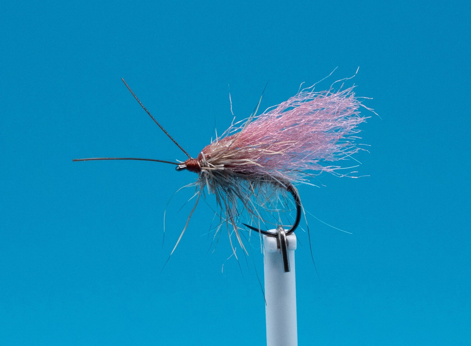 Esche: 5 Caddis Fly Grösse 10 – Nuovo e nell'imballaggio originale da Grenchen venduto da firefly2000 8