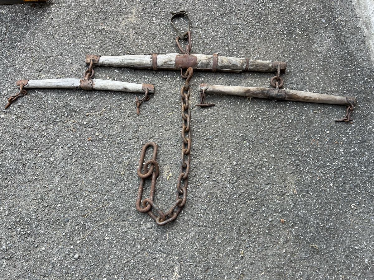 Carrozze: Zweispännige Kutschenwaage – Usato da Bad Ragaz venduto da Lucjoh