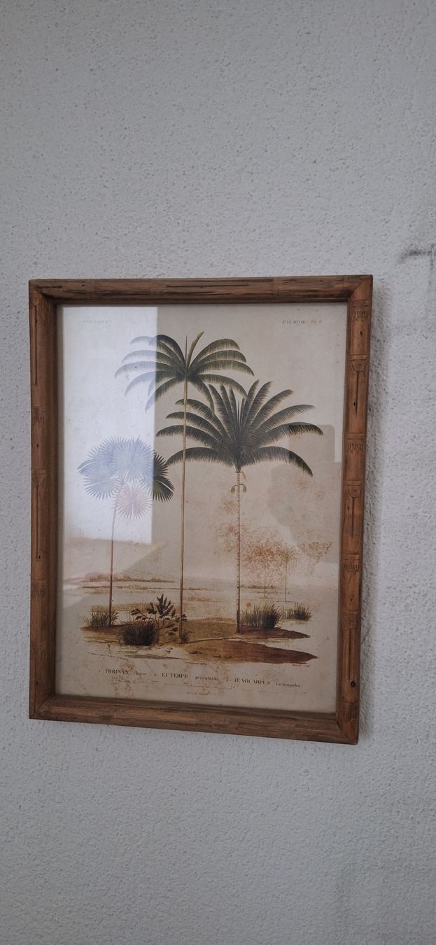 Poster & Bilder: Bild Palmen Motiv gerahmt mit Glas – Gebraucht aus Luzern von Briefmarkentaube