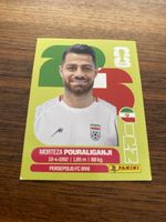 Panini Irn 3