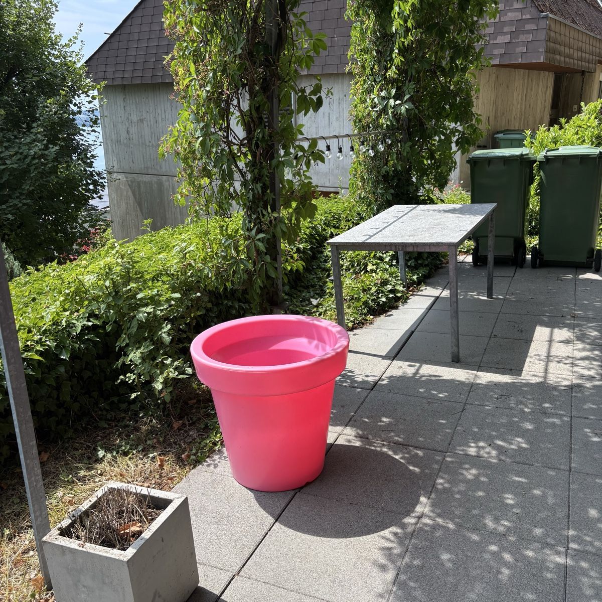 Blumentöpfe: BLOOM! Pflanzenkübel – Gebraucht aus Biel/Bienne von Eiskristall08 2