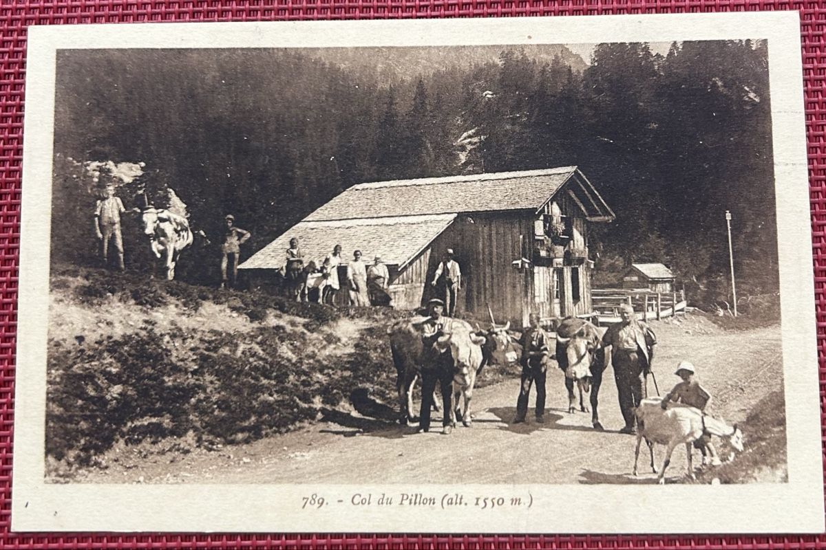 Cartoline postali: Col de Pillon belebt  – Usato da Horw venduto da Tellbub