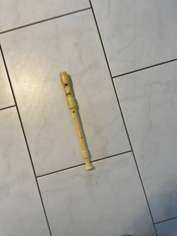Strumenti musicali: Blockflöte Hohner – Usato da Schmitten FR venduto da Zimtstengel 4