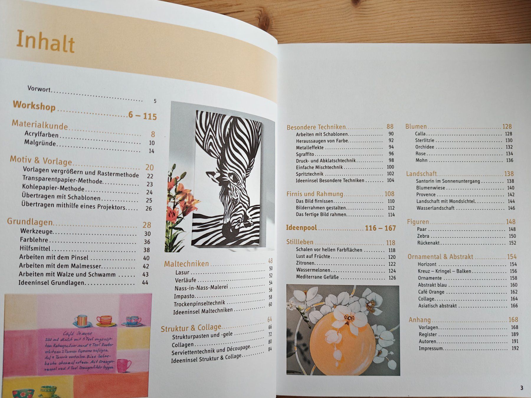 Libri: Acrylmalerei Basiswissen / Topp 2012 (Material & Technik) – Usato da Muttenz venduto da Negnuja 2