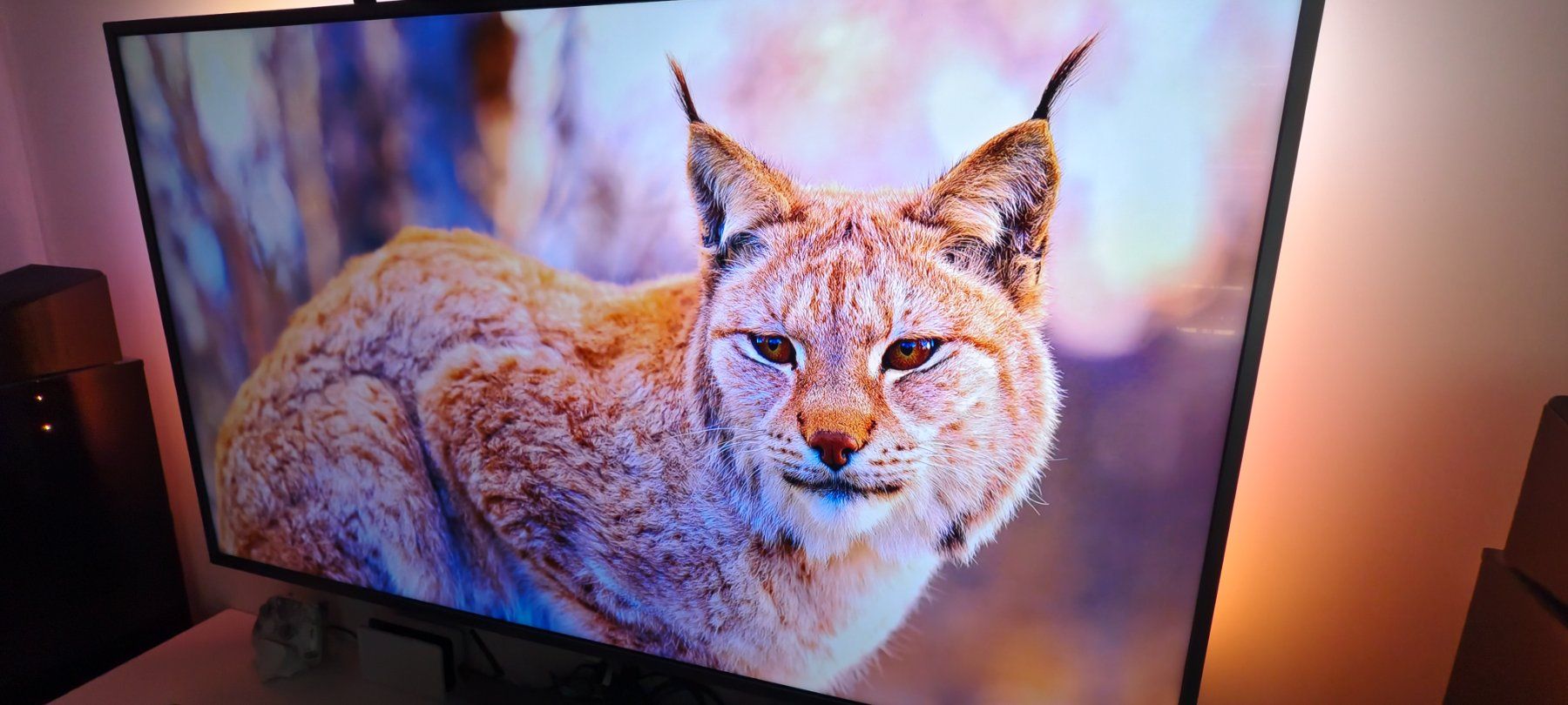 Philips Televisori: Philips 4K UHD 65'' TV ambilight 3 – Usato da Neunkirch venduto da faithnomore