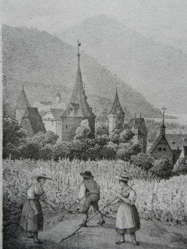 Incisioni: Zug selten – Usato da Risch venduto da Rischli15 3