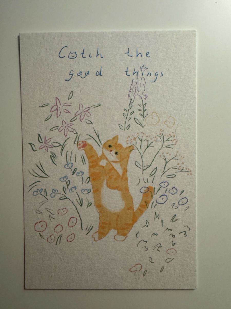 Cartoline postali: Postcard – catch the good things – Nuovo e nell'imballaggio originale da Sins venduto da sum_lv6d
