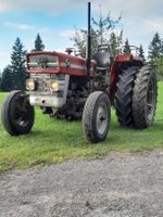 massey Ferguson 135