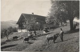 LANDWIRTSCHAFT/BAUERNHAUS/WEBERHAUS 1940 Oberegg AI?