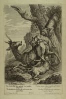 LUCHSE GREIFEN EINEN HIRSCH AN, KUPFERSTICH UM 1760