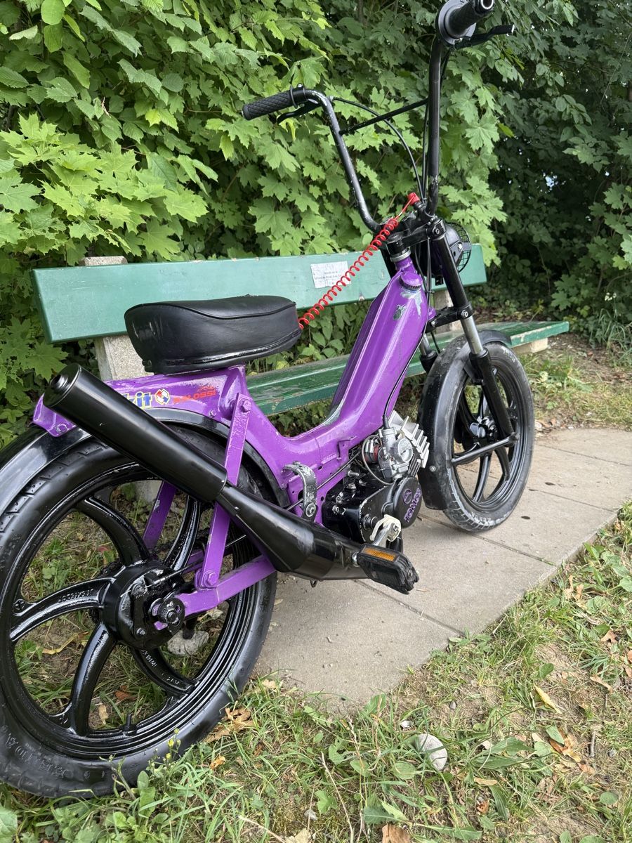 Tomos Cyclomoteurs: Tomos – D'occasion à Dozwil par dav_jn65 2