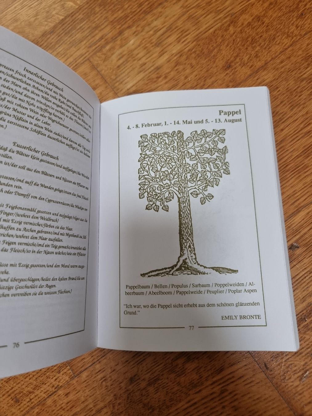 Livres: Das Keltische Baumhoroskop – D'occasion à Luzern par .Skylake. 2
