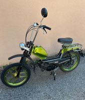 Pony 503 GTX