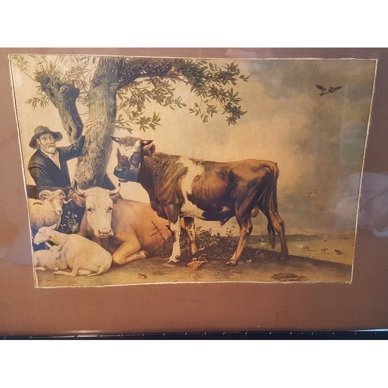 Foto & Immagini: Öldruck P. Potter Der junge Stier Antik – Usato da Kaltbrunn venduto da Condor2 6
