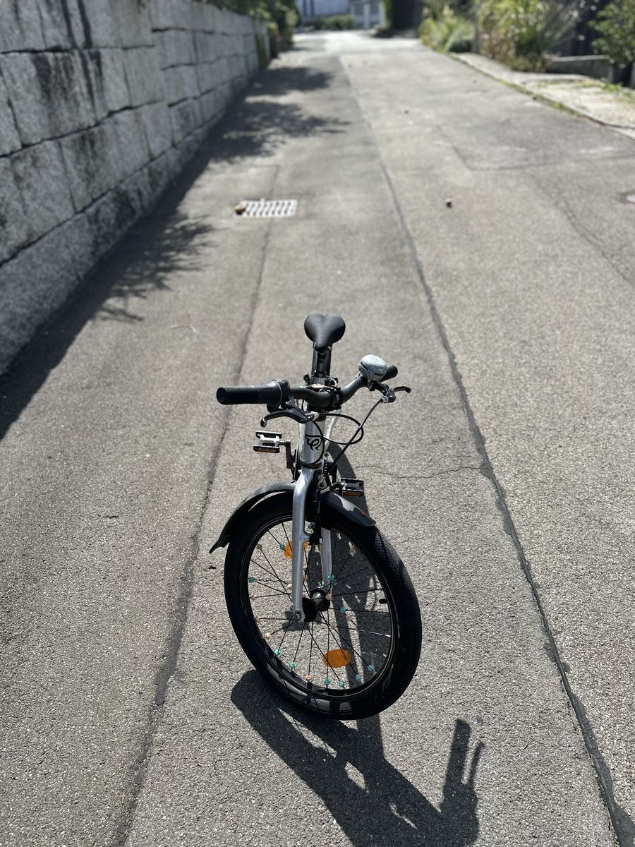 Early Rider Velos: Early Rider Belter – Gebraucht aus Hünenberg von TomN82 3