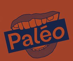 1x Ticket paléo Samedi