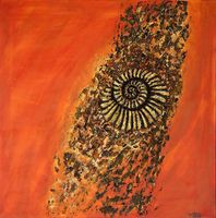 Acrybild Ammoniten