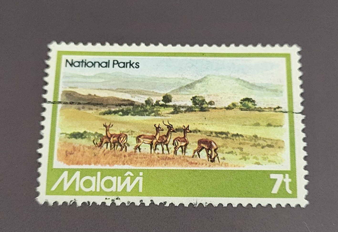 Tutti i francobolli: Malawi 1982 briefmarke A012 – Usato da St Gallen venduto da Stampsalshobby