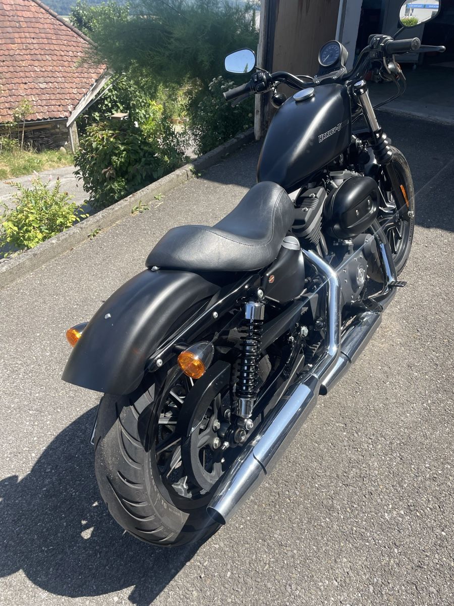 Harley-Davidson Chopper: Harley Davidson XL 883N – Gebraucht aus Birrwil von Memme0