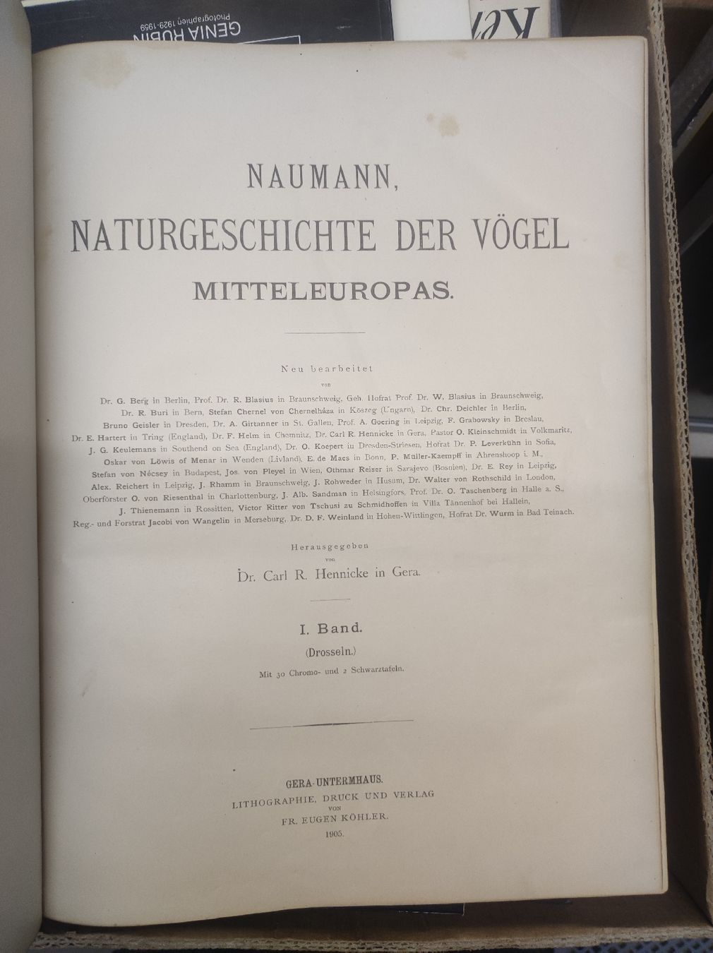 Bücher: ZOOLOGIE - ORNITHOLOGIE - NAUMANN – Gebraucht aus Goldach von Gaip 4