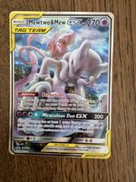 Mewtwo &mew tag team