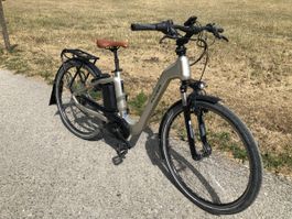 Flyer E-Bike