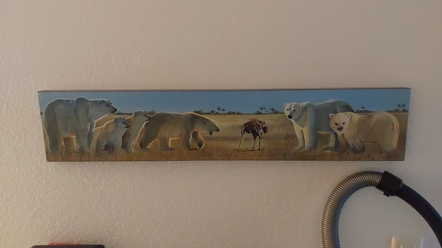 Poster & Bilder: Wandbild "Kopf in den Sand bei Eisbären" – Gebraucht aus Teufen ZH von StanTeufen