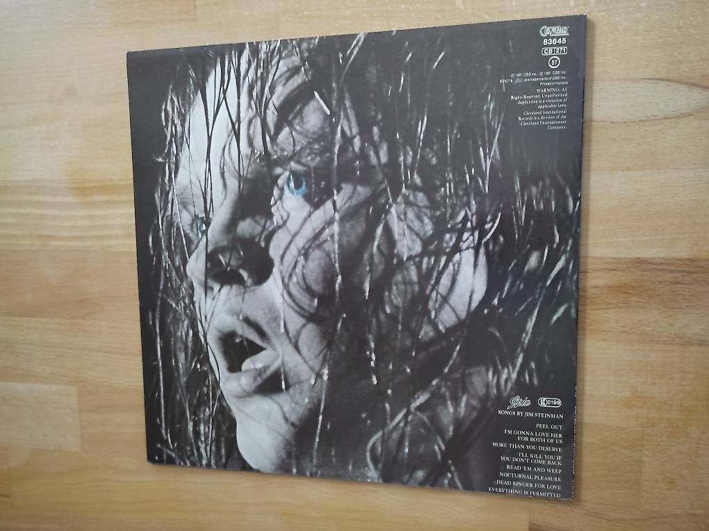 Dischi in vinile: Lp Vinyl Meat Loaf, Dead Ringer – Usato da Zielebach venduto da Teneristi 1