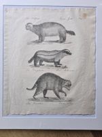C.Josef Brodtmann Litho 1816 Nr 17 Bildergalerie etwa 50x40c