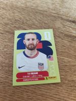 Panini Wm 2026 Usa 4