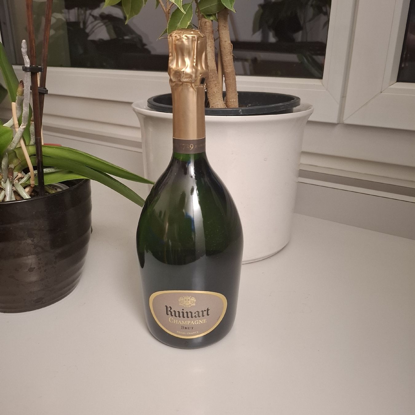 Wein: CHAMPAGNE Ruinart BRUT – Neu und originalverpackt aus Wettingen von Teflix 1