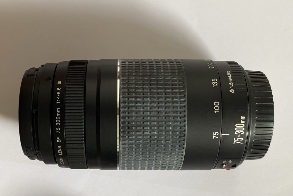 Canon Fotocamera: Canon EOS 1200D Kit mit 2 Objektiven, Tasche, Ladegerät – Usato da Zürich venduto da joyjoy7 7