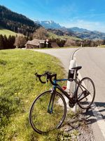 Rennvelo Giant - Top Zustand!