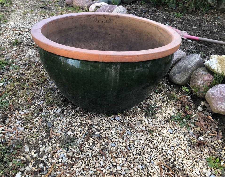 HIGA-JKL 10 Stück Mini Blumentöpfe 7cm - Weiße Kunststoff Töpfe Für Sukkulenten